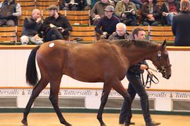 Lot  328 T B1 1836 Tattersalls