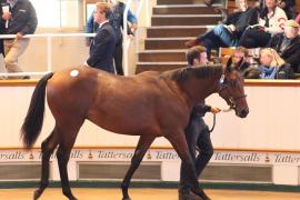 Lot  328 T B1 1879 Tattersalls