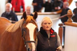 Lot  441 T B1 1463 Tattersalls