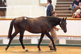 Lot  475 T B1 1661 Tattersalls