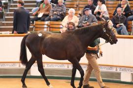 Lot  475 T B1 1684 Tattersalls