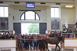 Lot  475 T B1 1773 Tattersalls