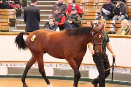 Lot  477 T B1 1843 Tattersalls