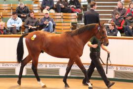 Lot  477 T B1 1862 Tattersalls