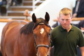 Lot  477 T B1 1899 Tattersalls