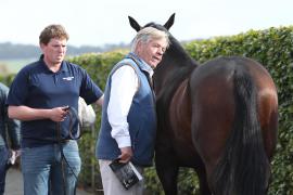 Sir Michael Stoute T B12328 Tattersalls