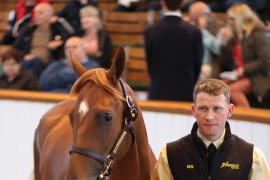 Lot  92 T B K1 3983 Tattersalls