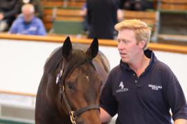 Lot  222 T B K1 1361 Tattersalls