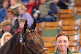 Lot  247 T B K1 1799 Tattersalls