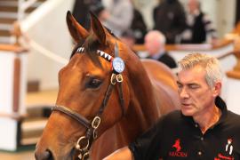 Lot  283 T B K1 2286 Tattersalls