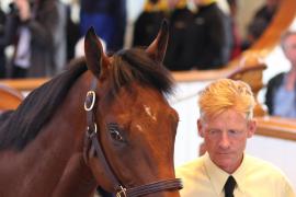 Lot  416 T B K1 1488 Tattersalls