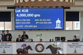 Lot  418 T B K1 1723 Tattersalls