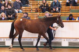 Lot  424 T B K1 1898 Tattersalls