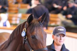 Lot  424 T B K1 1935 Tattersalls