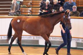 Lot  425 T B K1 1965 Tattersalls