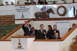 Ollie Fowlston T B K1 2519 Tattersalls