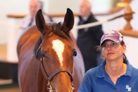 Lot  279 T B K1 8437 Tattersalls