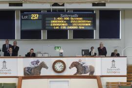 Lot  237 T O13361 Tattersalls