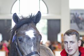 Lot  287a T O14283 Tattersalls