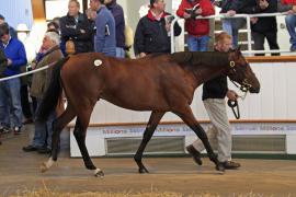 Lot  326 T O14734 Tattersalls