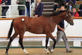 Lot  327 T O14832 Tattersalls