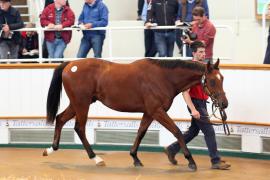 Lot  931 T Bk2 1169 Tattersalls