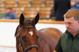 Lot  968 T Bk2 1299 Tattersalls