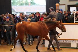 Lot  977 T Bk2 1598 Tattersalls