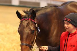 Lot  1262 T Bk2 1789 Tattersalls