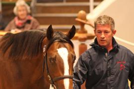 Lot  1274 T Bk2 1981 Tattersalls