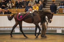 Lot  552 THIT 1931Tattersalls