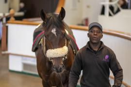 Lot  552 THIT 1939Tattersalls