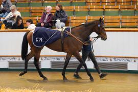 Lot  1531 THIT 322Tattersalls