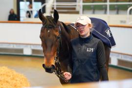 Lot  1531 THIT 563Tattersalls