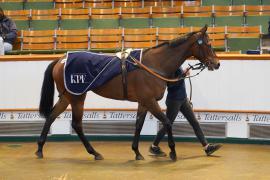 Lot  1531 THIT 632Tattersalls