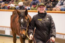 Lot  588 TDF 436Tattersalls