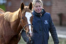 Lot  945 TDF 1794Tattersalls