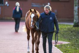 Lot  945 TDF 1763Tattersalls