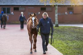 Lot  945 TDF 1778Tattersalls