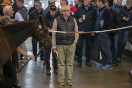 Anthony Stroud TBK1 4769Tattersalls