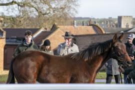 Charles And Paul Shanahan TDF 2568Tattersalls