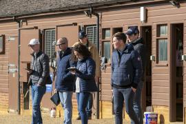 Coolmore 0536 TBK1Tattersalls