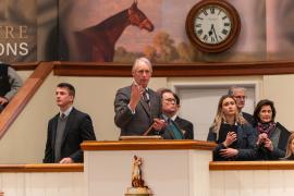 Edmond Mahony TDM 1554Tattersalls