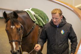 Gerry Meehan THIT 0811Tattersalls