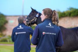 GV Barton Stud TBK4 117Tattersalls