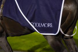 GV Coolmore THIT 449Tattersalls