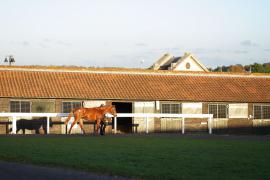 GV Further Paddocks TBK3 343Tattersalls