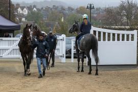 GV Gate THIT 3494Tattersalls