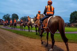 GV Heath House String THIT 115Tattersalls