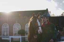 GV Lot 104 Sunlight TDY 1067Tattersalls